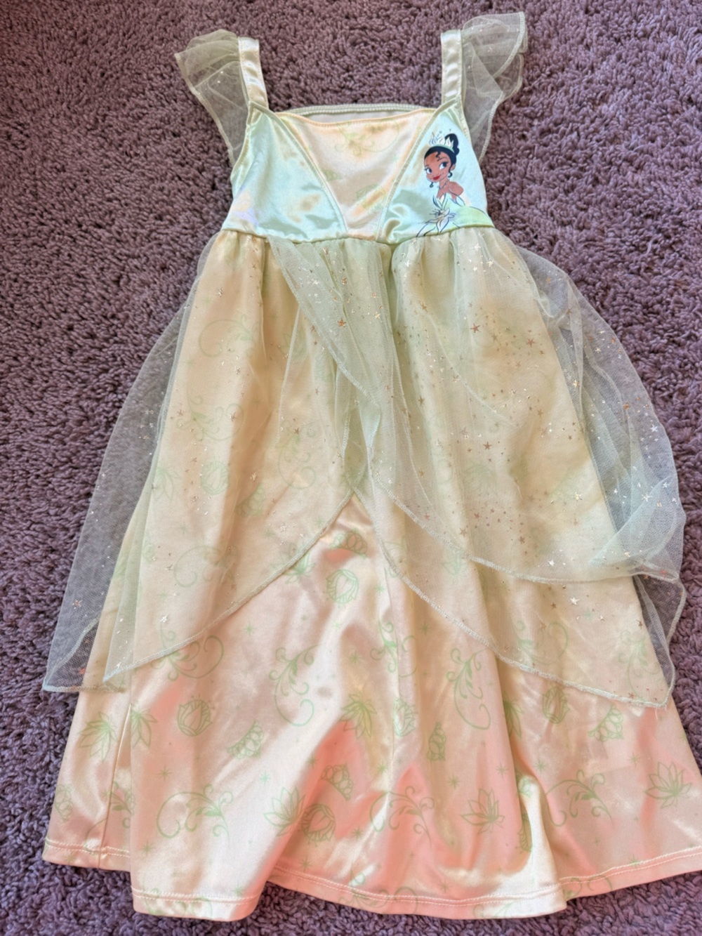 Disney Princess Pale Green Sparkle Costume Dress